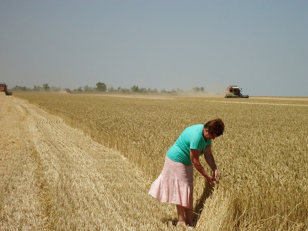 «Единая Россия» инициировала сохранение доплат к пенсиям работников сельского хозяйства со стажем более 30 лет  