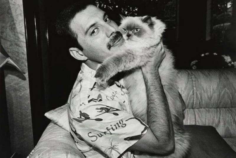 Некоторые завещания известных людей вызывают недоумение у простых смертных