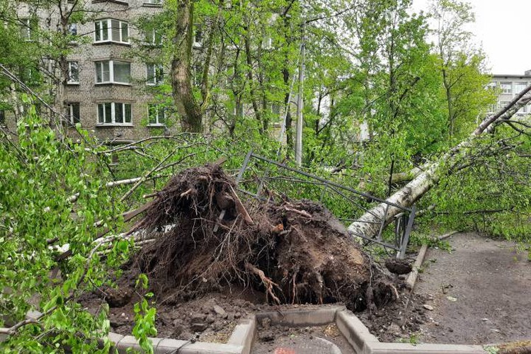 Мощный ураган пронесся по Санкт-Петербургу и оставил после себя неприятные воспоминания