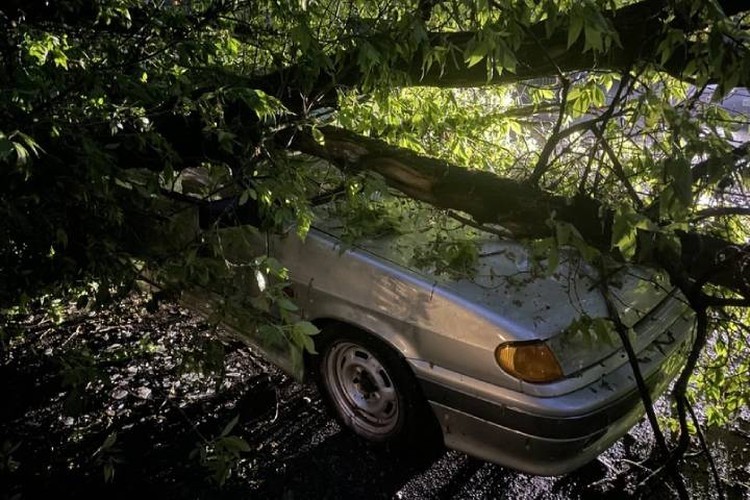 Мощный ураган пронесся по Санкт-Петербургу и оставил после себя неприятные воспоминания