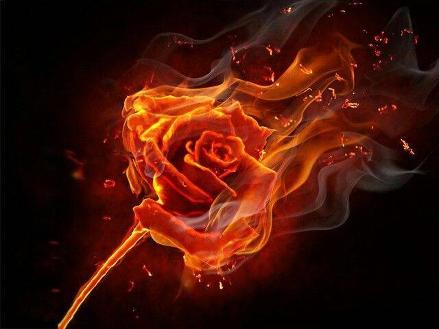 Астрологический прогноз от Анжелы Перл на июнь 2021 года всем знакам зодиака Астрологический прогноз от Анжелы Перл на июнь 2021 года всем знакам зодиака