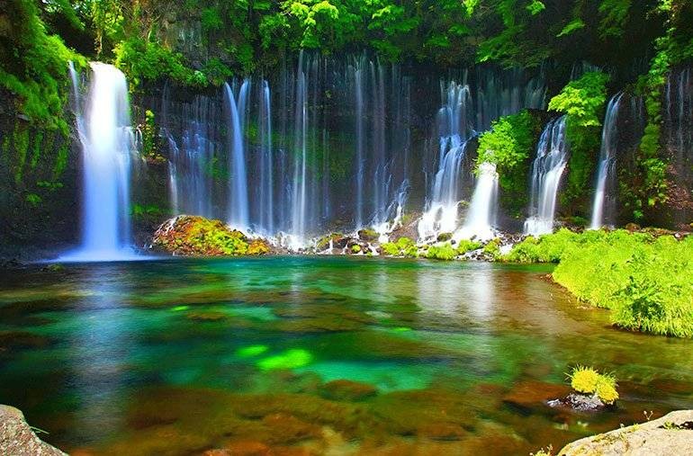 Астрологический прогноз от Анжелы Перл на июнь 2021 года всем знакам зодиака Астрологический прогноз от Анжелы Перл на июнь 2021 года всем знакам зодиака