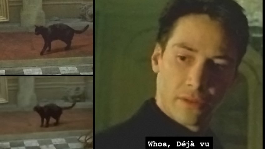 Что думают учёные об эффекте дежавю