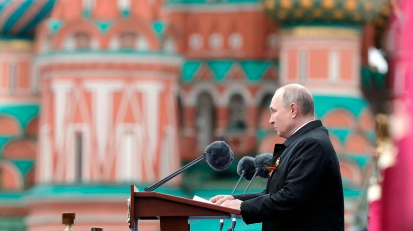 В России готовятся к созданию специального учёта домашних животных