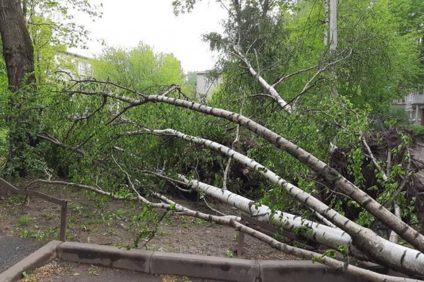 Мощный ураган пронесся по Санкт-Петербургу и оставил после себя неприятные воспоминания