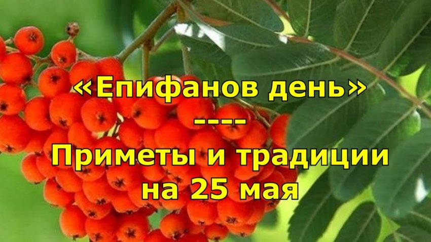 Епифанов день в народе отмечают 25 мая
