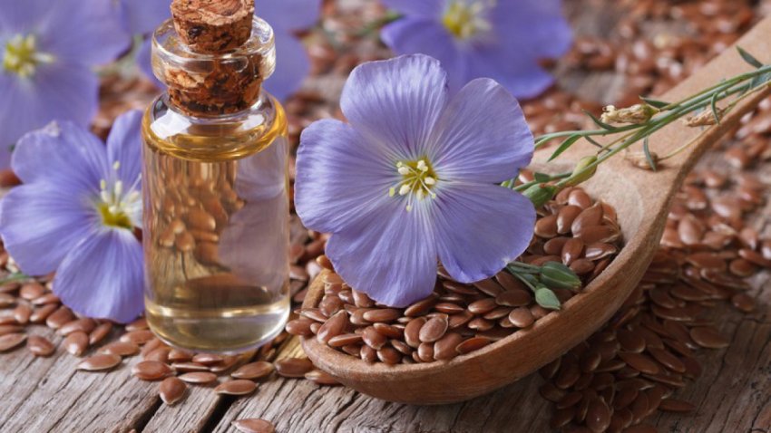 Народные приметы 3 июня 2021 года, в день Елены-Леносейки