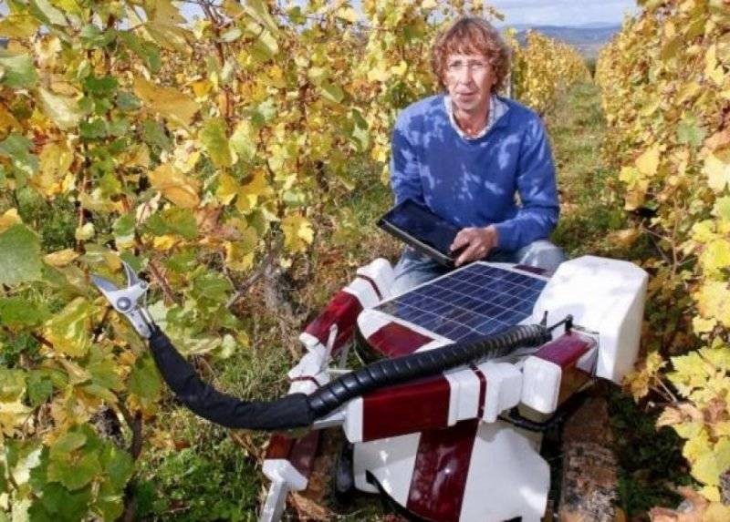 Необычные роботы, которые есть в мире