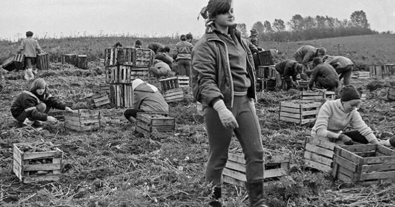 Почему в СССР целых 11 лет люди работали почти без выходных