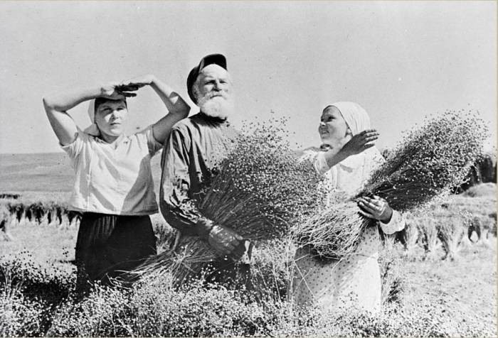 Почему в СССР целых 11 лет люди работали почти без выходных