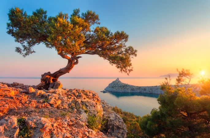 Тест на коронавирус придется сдавать дважды: российское правительство изменило правила поездки в Крым в 2021 году