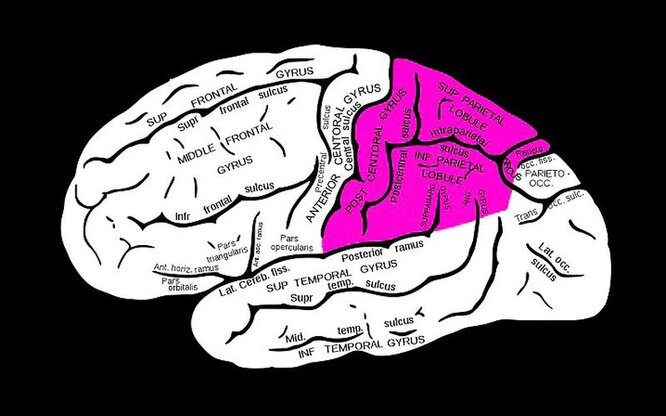 Сомнамбулизм: почему люди ходят во сне