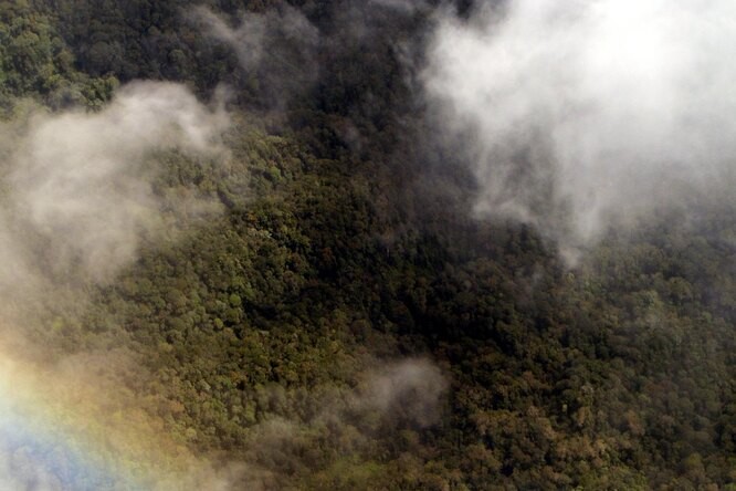 Взгляд с небес: как космические и аэро-технологии помогают изучать историю