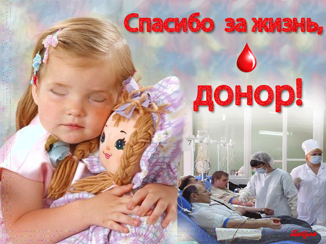 Какого числа отмечают День донора в России в 2021 году