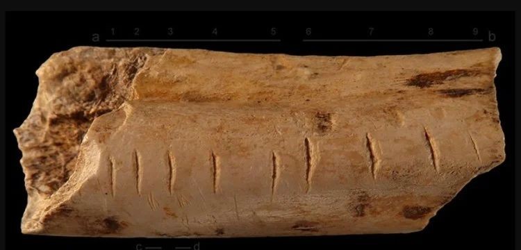 Откуда появилась математика