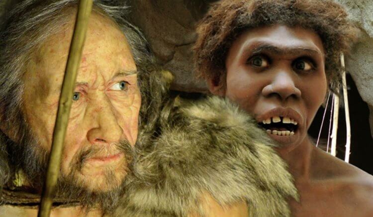 Откуда появилась математика