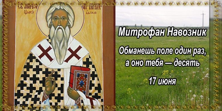 Народные приметы 17 июня, в день Митрофана Навозника Народные приметы 17 июня, в день Митрофана Навозника