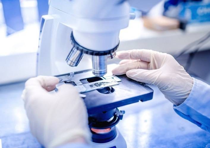 В Индии зафиксирован случай грибкового заболевания, получившего название «зелёная плесень» В Индии зафиксирован случай грибкового заболевания, получившего название «зелёная плесень»