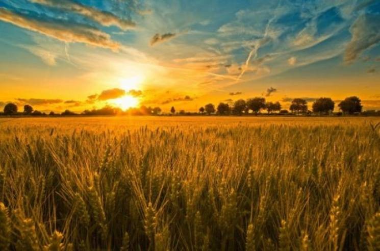 День летнего солнцестояния: Лита отмечается 20 — 21 июня