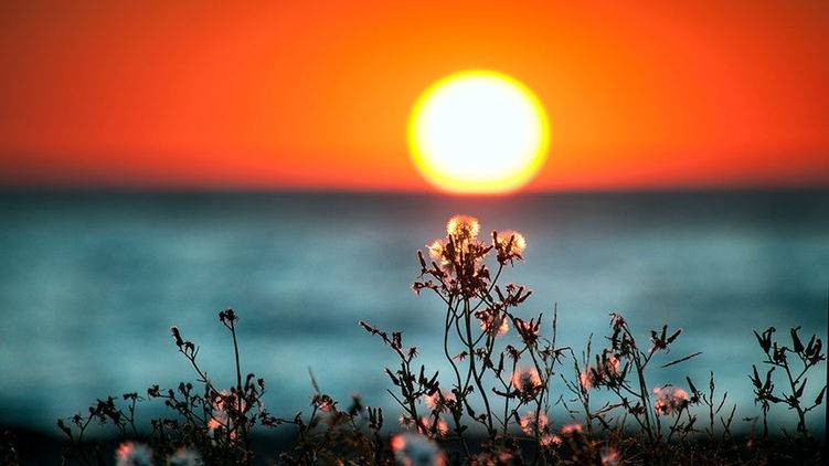 Почему 22 июня всегда светлое время суток и длится дольше обычного