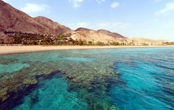 Оценена вероятность открытия курортов Египта в ближайшее время
