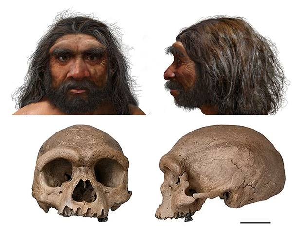 В Китае найден череп, принадлежащий человеку-дракону