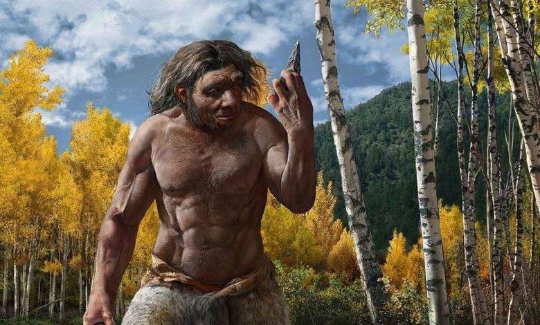 В Китае найден череп, принадлежащий человеку-дракону