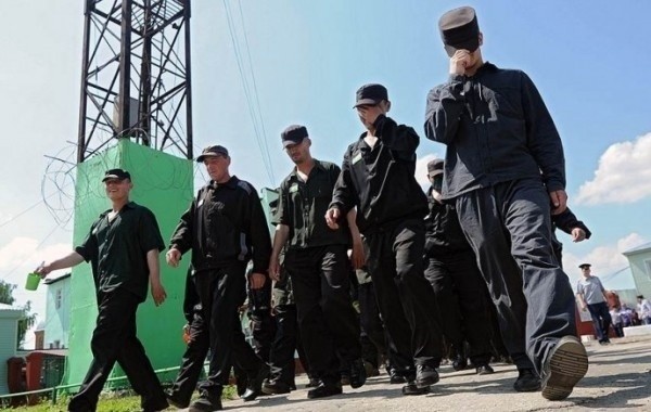 Вопрос о проведении уголовной амнистии остается актуальным среди россиян