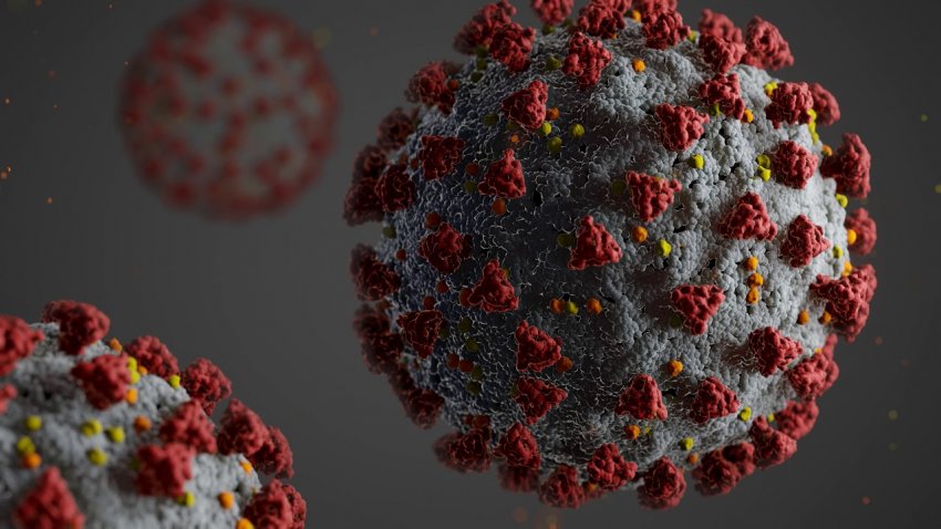 Россия и Белоруссия восстановят железнодорожное и авиасообщение в июне 2021 года