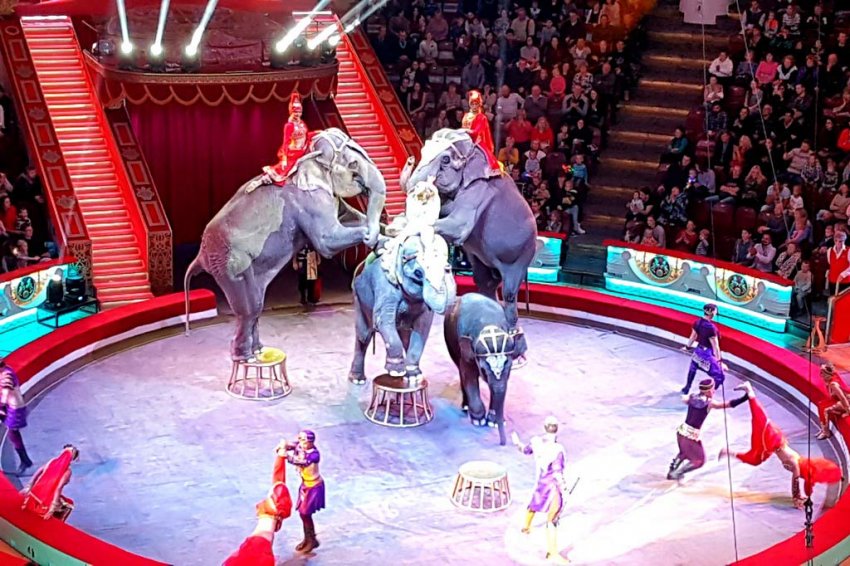 Отдыхаем с детьми: что интересного посмотреть в Москве летом 2021 года