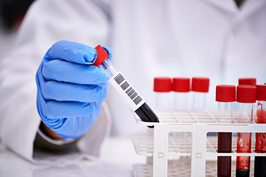 В Кремле отреагировали на возможное возвращение чартерных рейсов в Египет