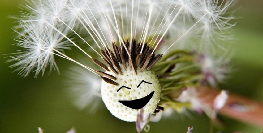 Почему на Василиска не стригутся и не устраиваются на новую работу: приметы, поверья и запреты на 4 июня 2021 года