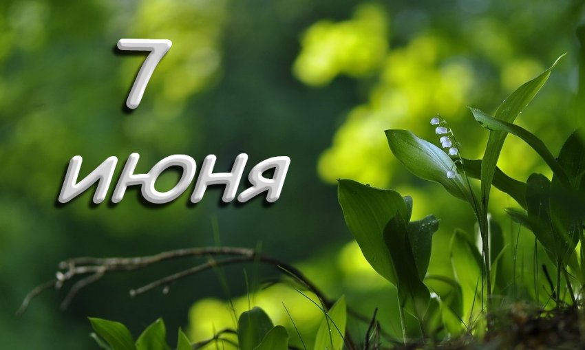 Народные приметы 7 июня, в Иванов день