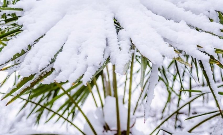 Зима посреди лета: ряд курортов на Черноморском побережье Турции накрыло июньским снегом