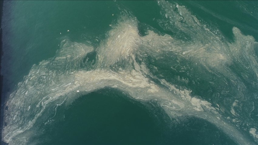 Мраморное море покрылось «слизью» у побережья Турции