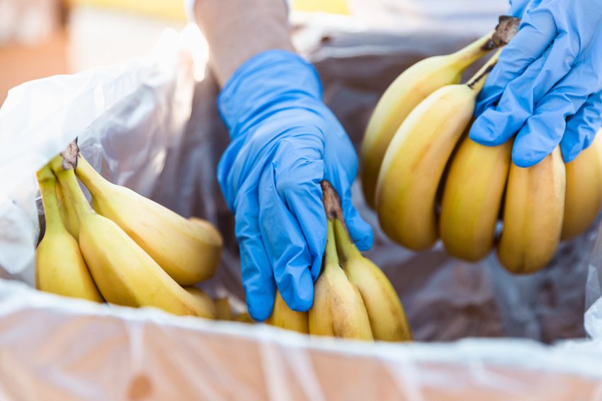 ТОП-5 короновирусных фейков, которыми пугают русских