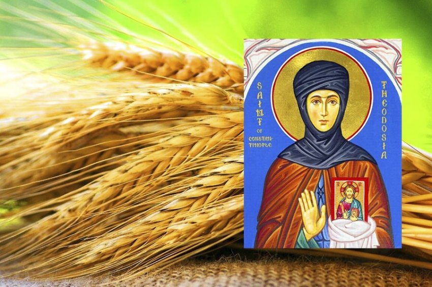 Народные приметы 11, в день Феодосии Колосятницы