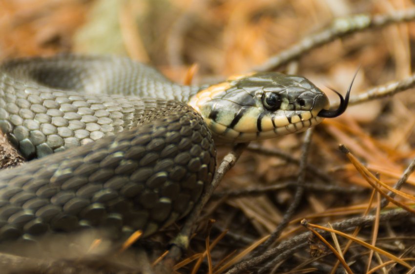 Какой Церковный праздник сегодня, 12 июня, почитается в православном мире