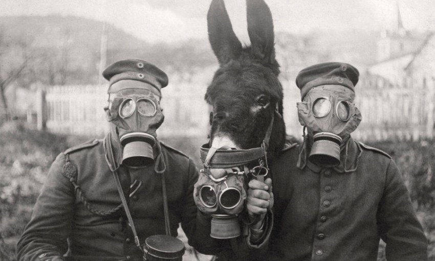 Какой праздник сегодня, 12 июня, отмечают в разных странах мира