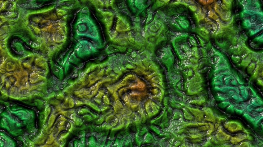 В Индии у пациента, переболевшего коронавирусом, обнаружено грибковое заболевание «зеленая плесень»