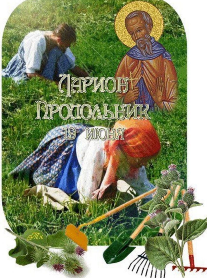 Какой праздник сегодня, 19 июня, отмечают в разных странах мира