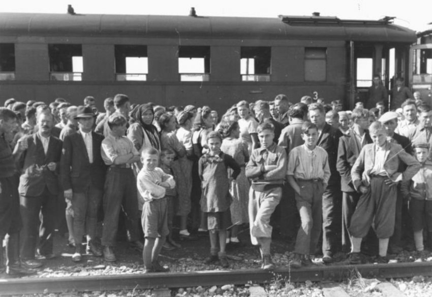 Проверяем ТОП-10 популярных легенд о Гитлере