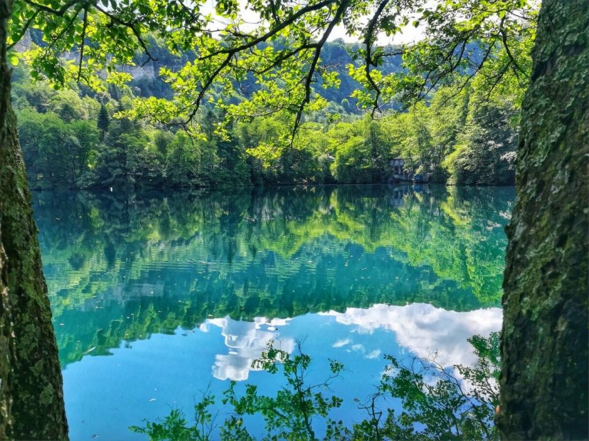 Поверья в день после Троицы в 2021 году, связанные с землей, лесом и водой