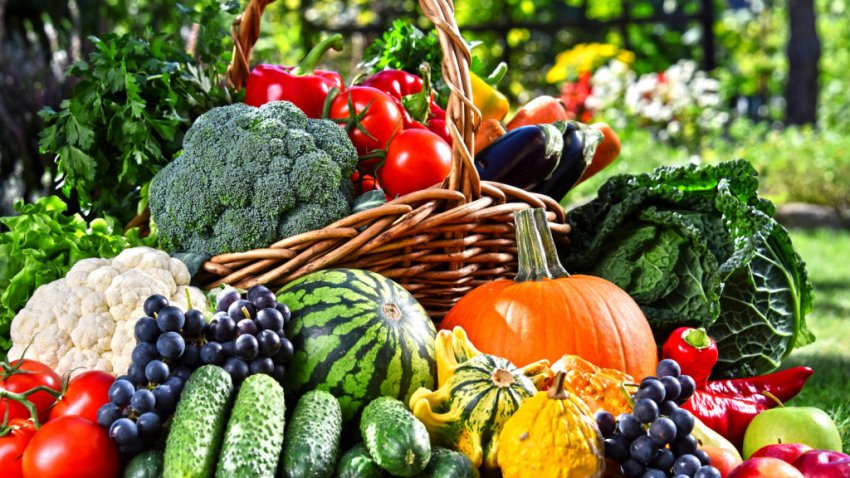 Народные приметы 20 июня, в день Федота Урожайника