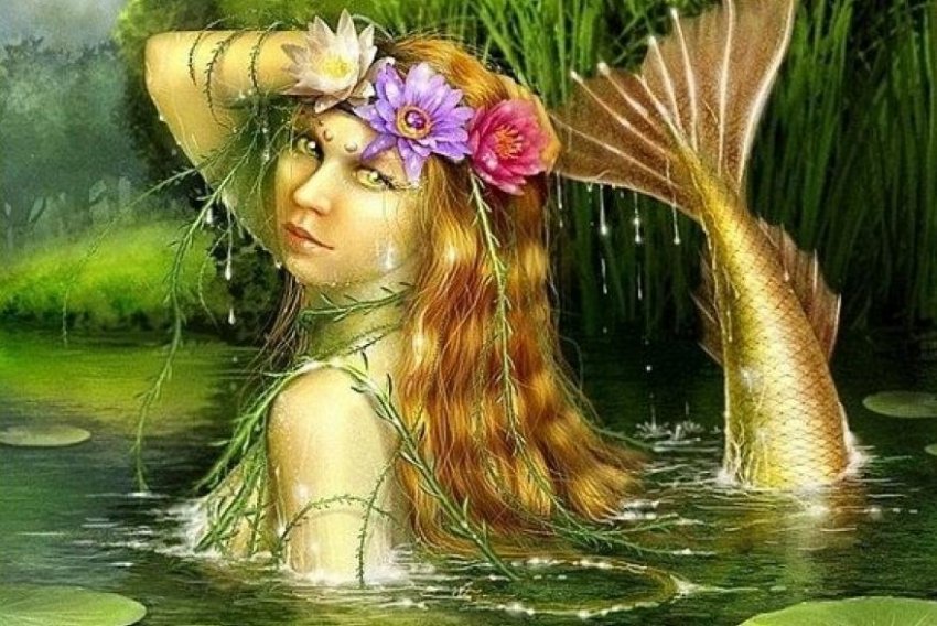 Народные приметы 20 июня, в день Федота Урожайника