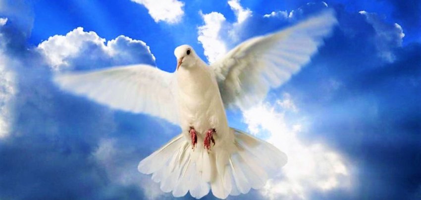 Когда православные верующие отмечают в 2021 году Духов день