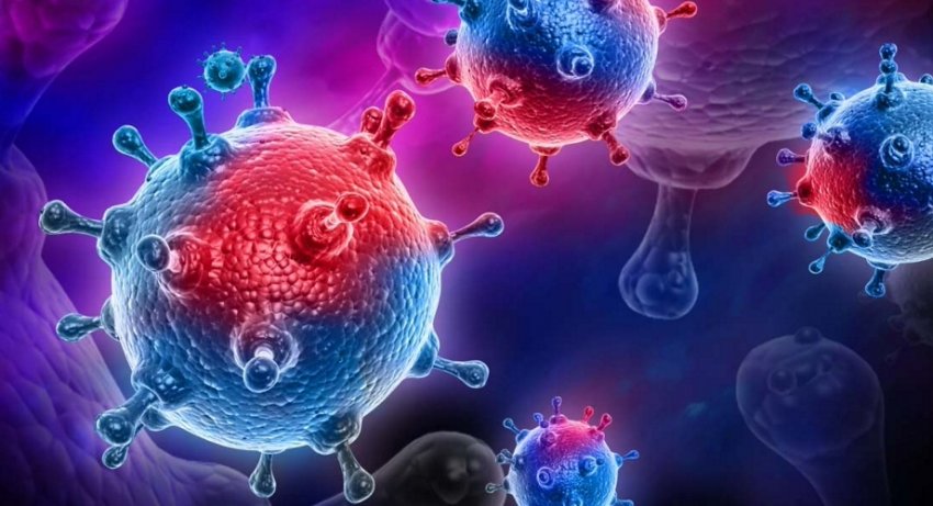 В Крыму ввели новые ограничения для прибывающих летом 2021 года туристов