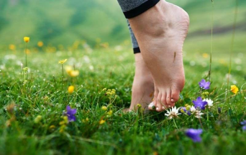 Какую пользу организму оказывает ходьба босиком