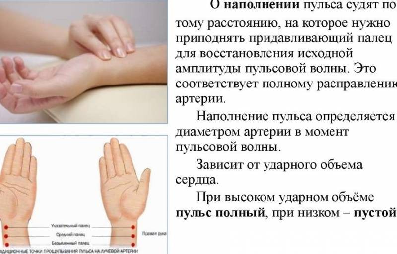 Как без тонометра по пульсу можно определить какое давление: высокое или низкое