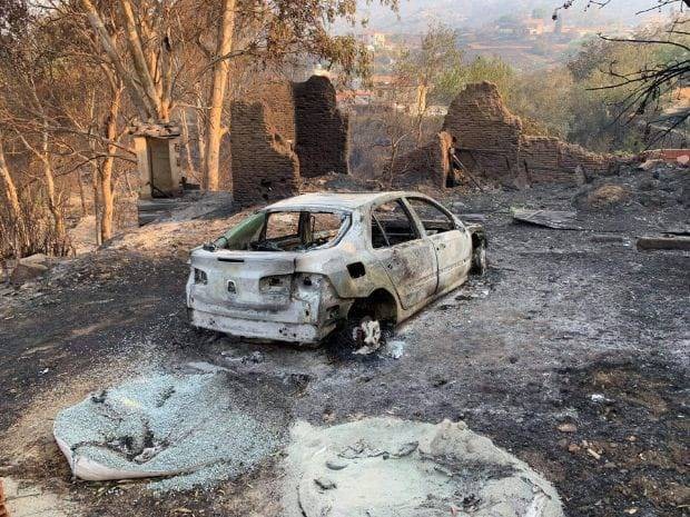 В результате пожара, который произошел на Кипре 4 июля 2021 года, появились жертвы